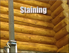  York County,  South Carolina Log Home Staining